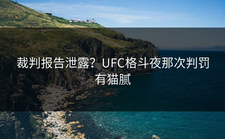 裁判报告泄露？UFC格斗夜那次判罚有猫腻