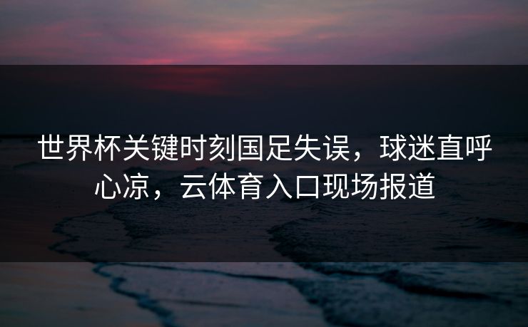 世界杯关键时刻国足失误，球迷直呼心凉，云体育入口现场报道