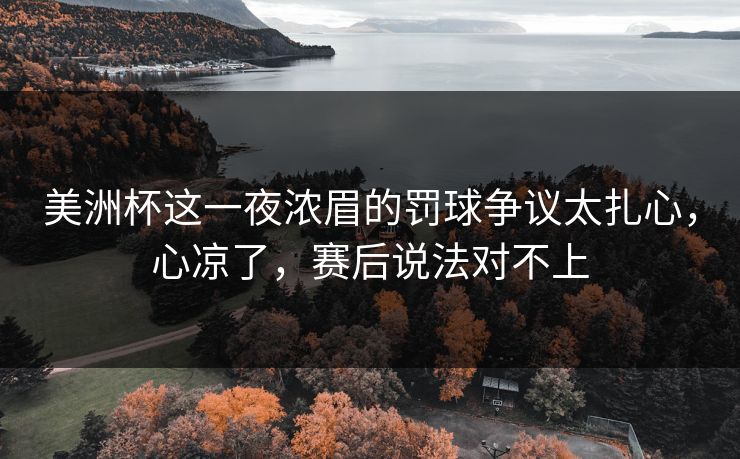 美洲杯这一夜浓眉的罚球争议太扎心，心凉了，赛后说法对不上